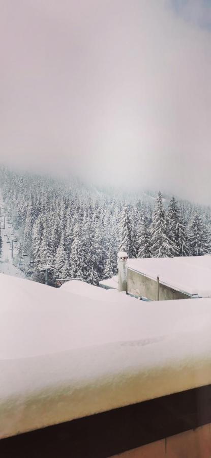 Apartments Black Horse Pamporovo Exteriér fotografie